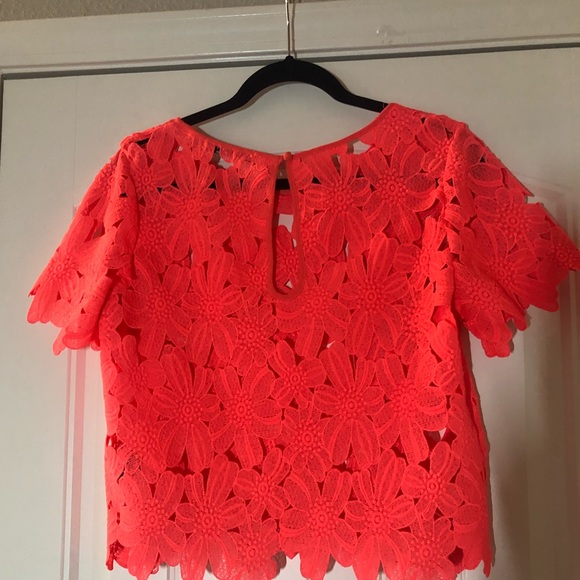 Ark & Co. Cropped T - Picture 3 of 3